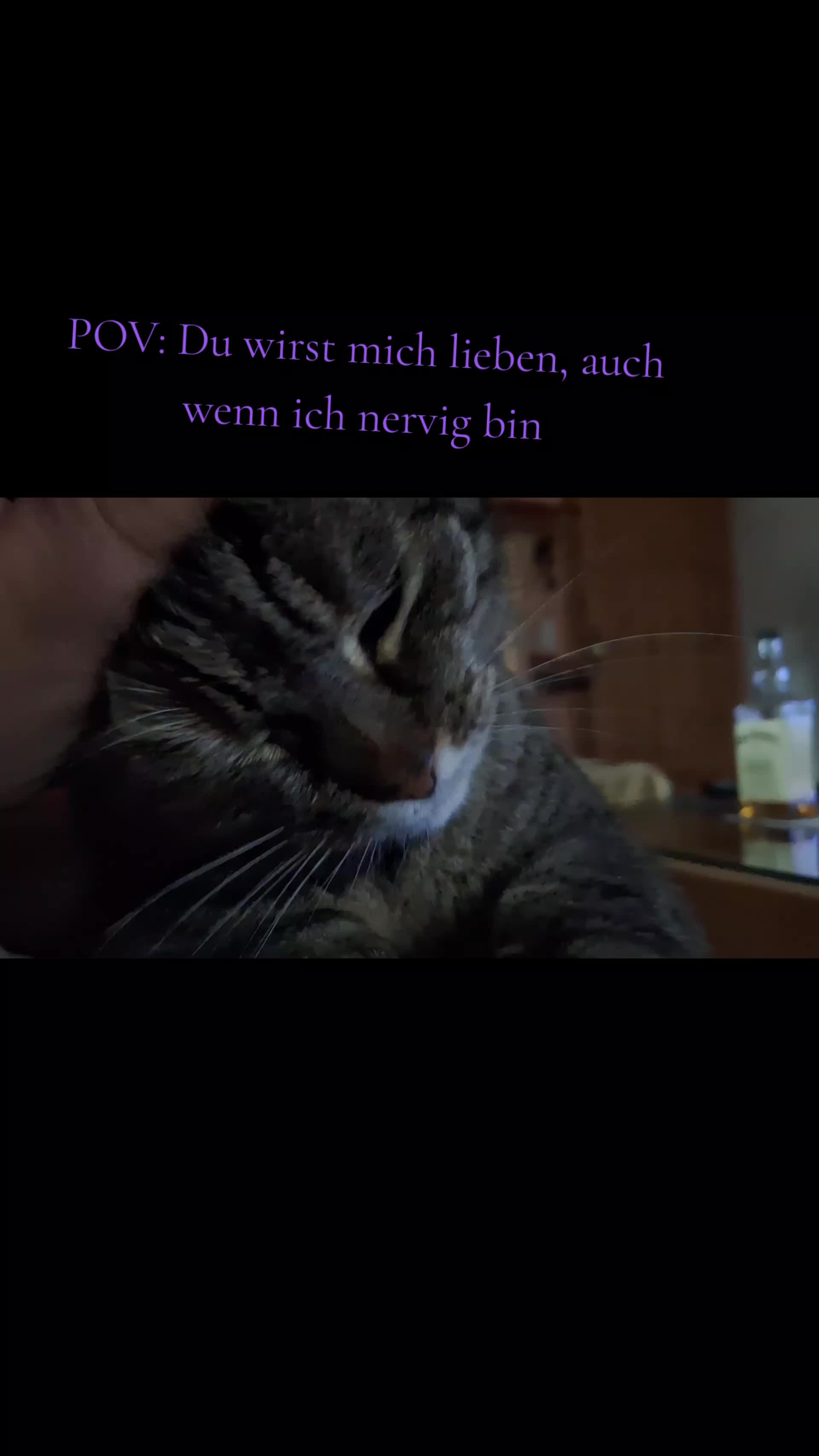@Susi & der Dosen&ouml;ffner 🤔🤣
