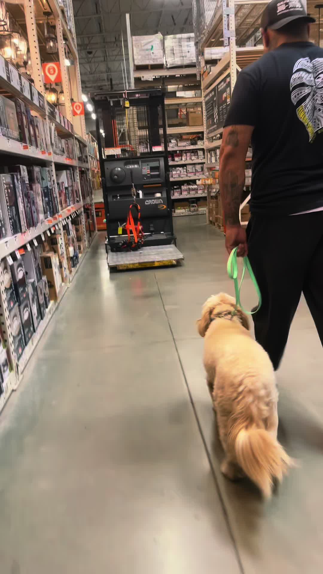 @Tactical K9s Dog Training