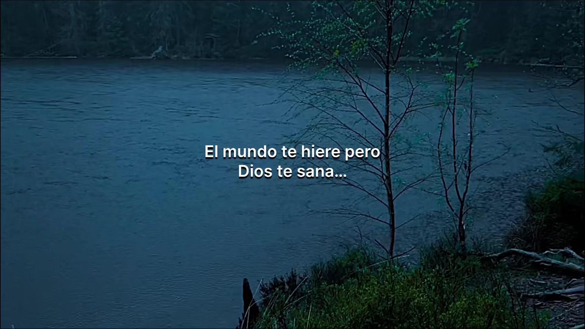 @Real…✪