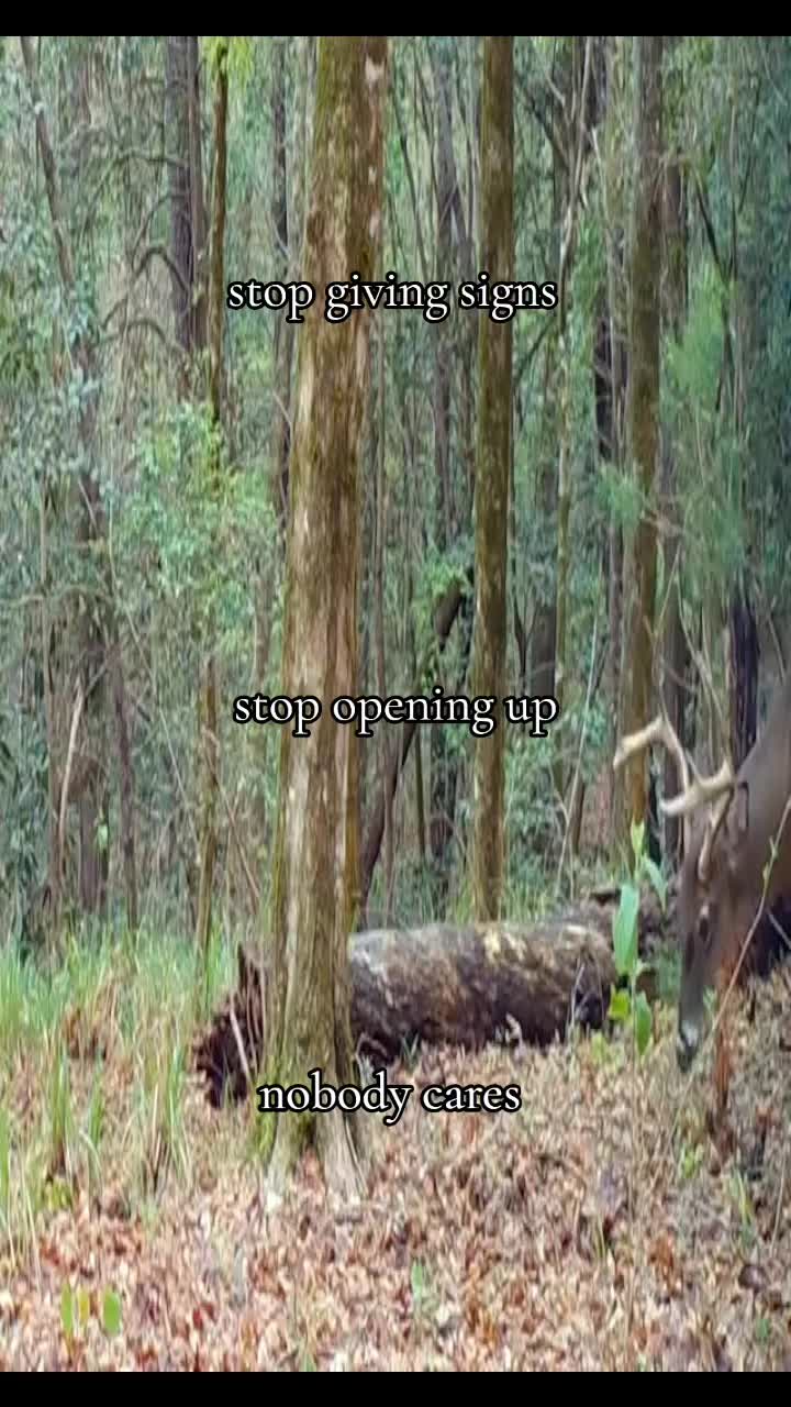 @meruem