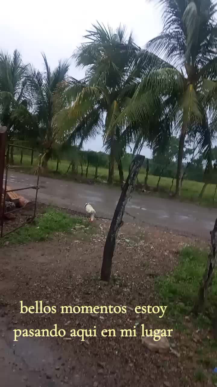 @PALOMITA_D_HERSON🍓🦋🇸🇻🇲🇽