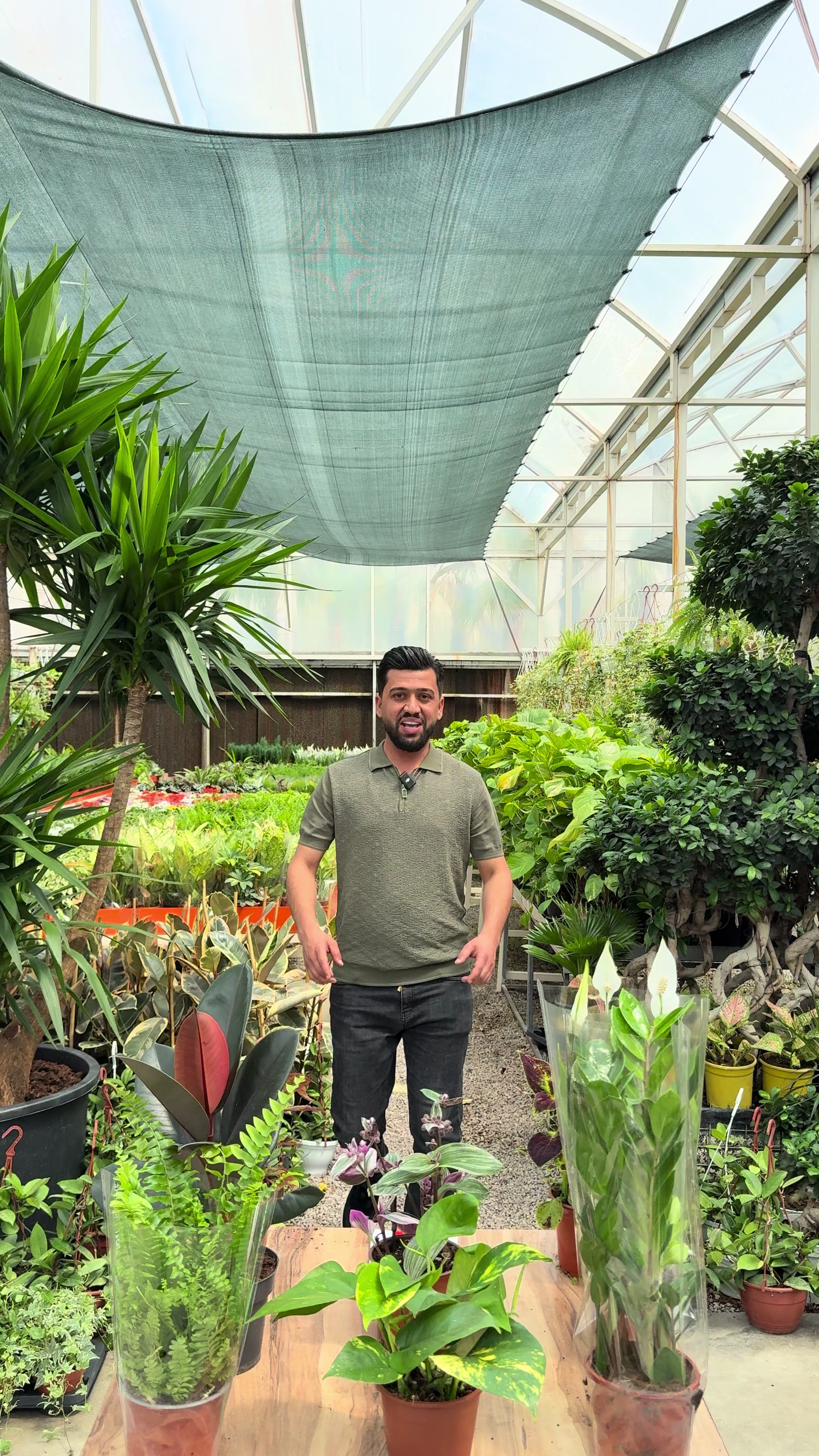 @Heaven flower .Erbil