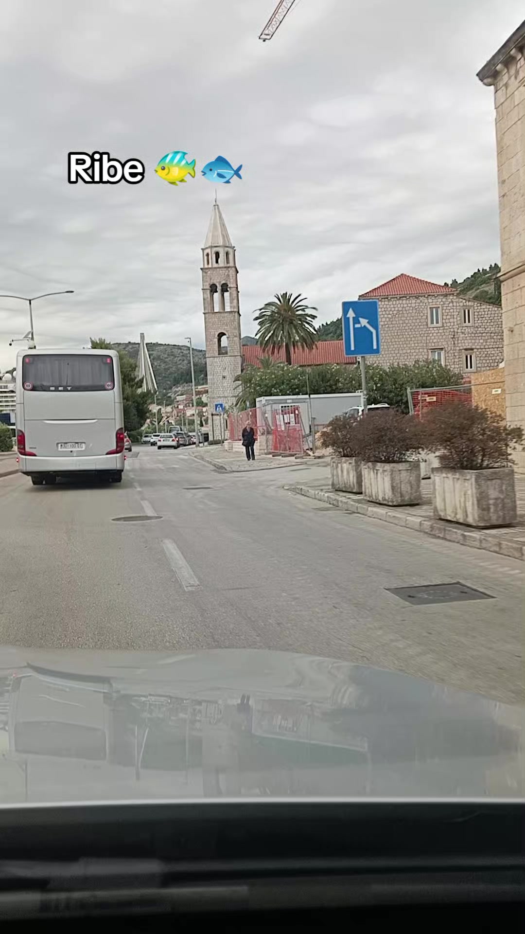 @Oko čamparasto 🌼