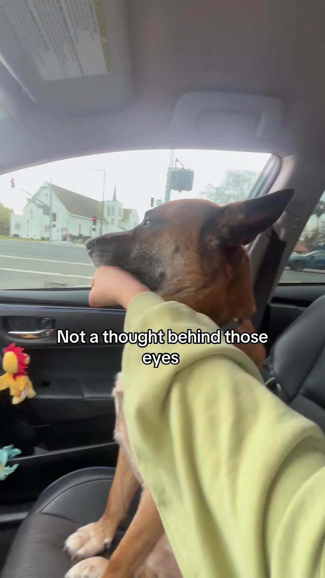 @Funny dogdia80