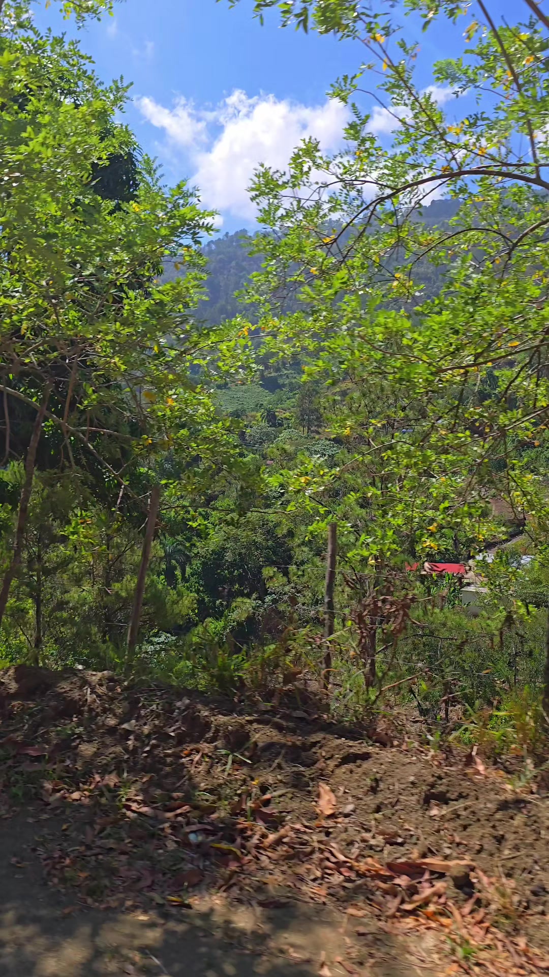 @Rosalba Deporte
