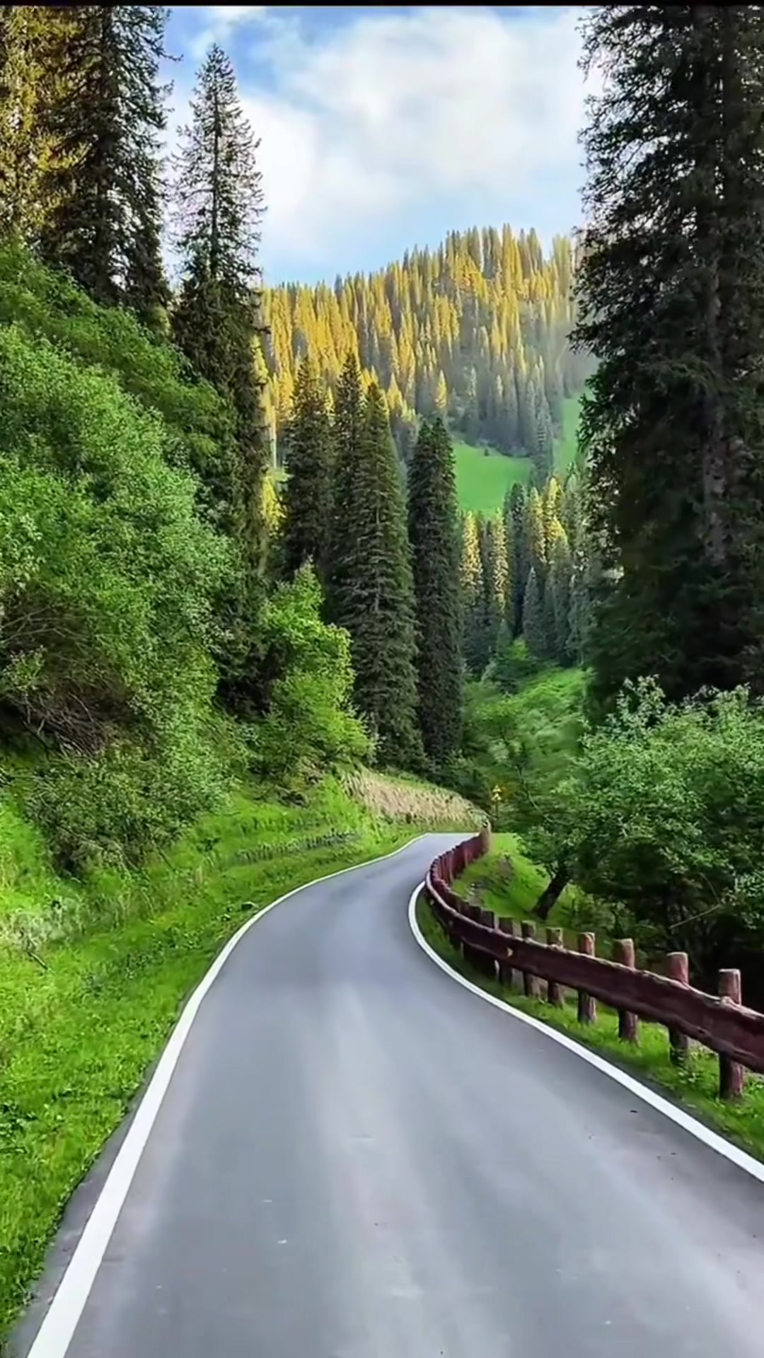 @Mohammad Soltani