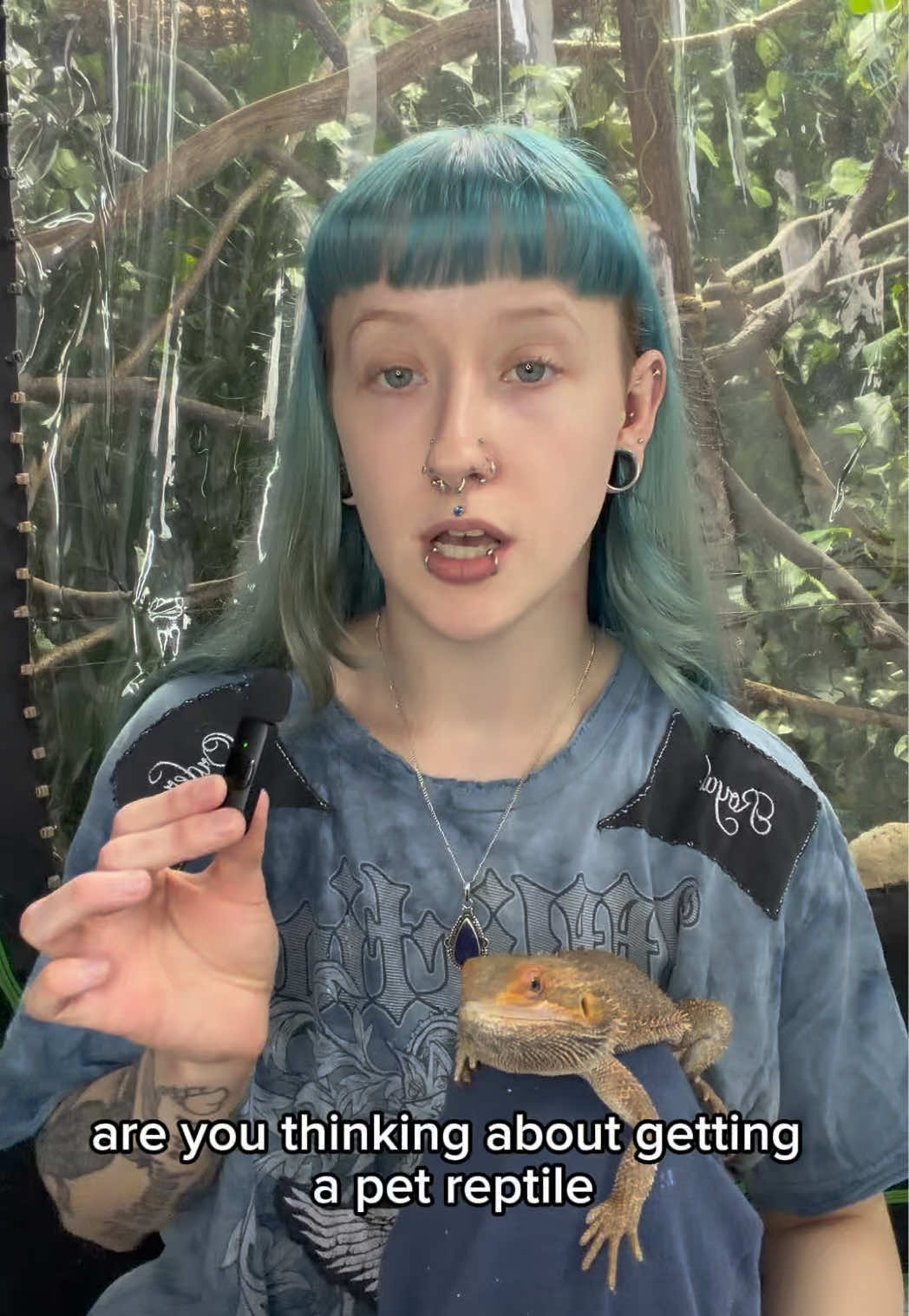 @layla🦎🍃