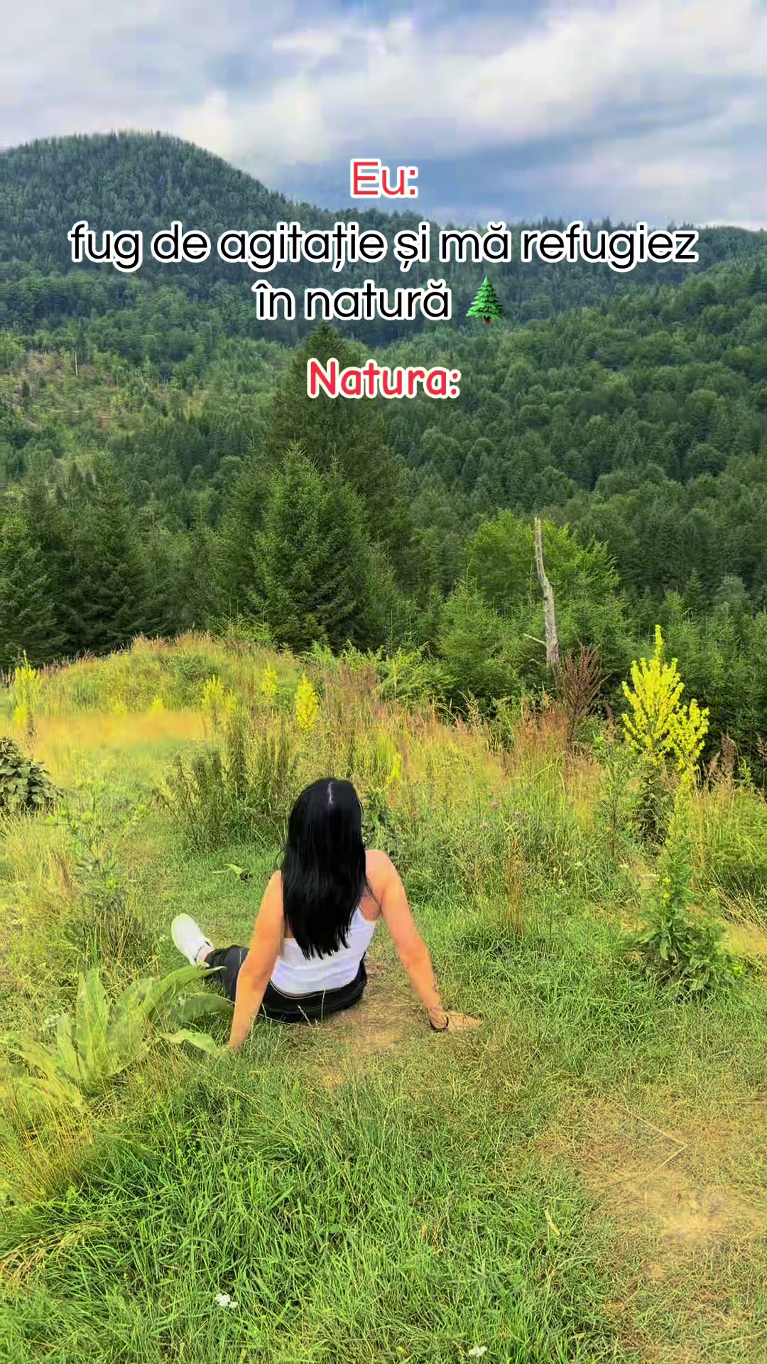 @Anișoara 
