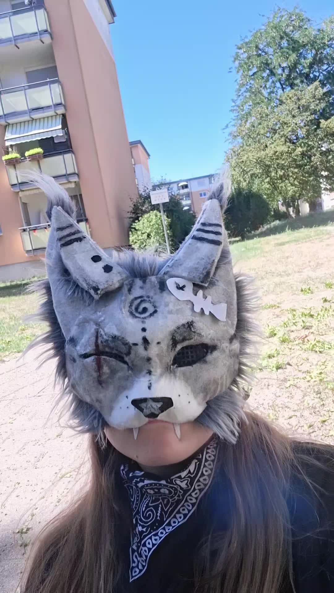 @black wolf and silver fox