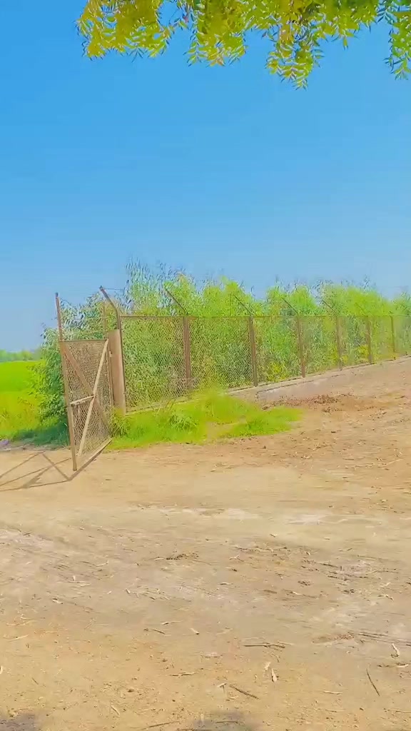@itx_MaHii405