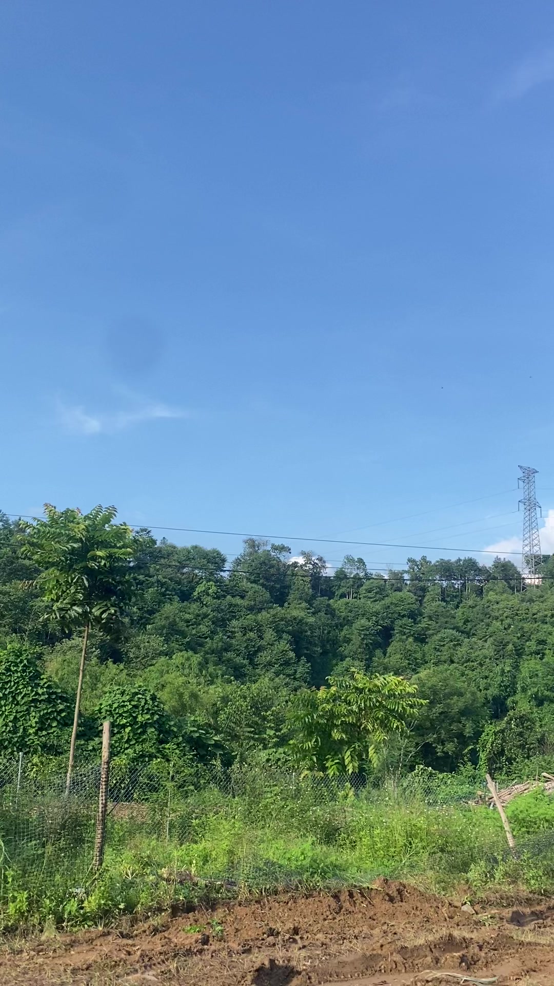 @Nông đức long