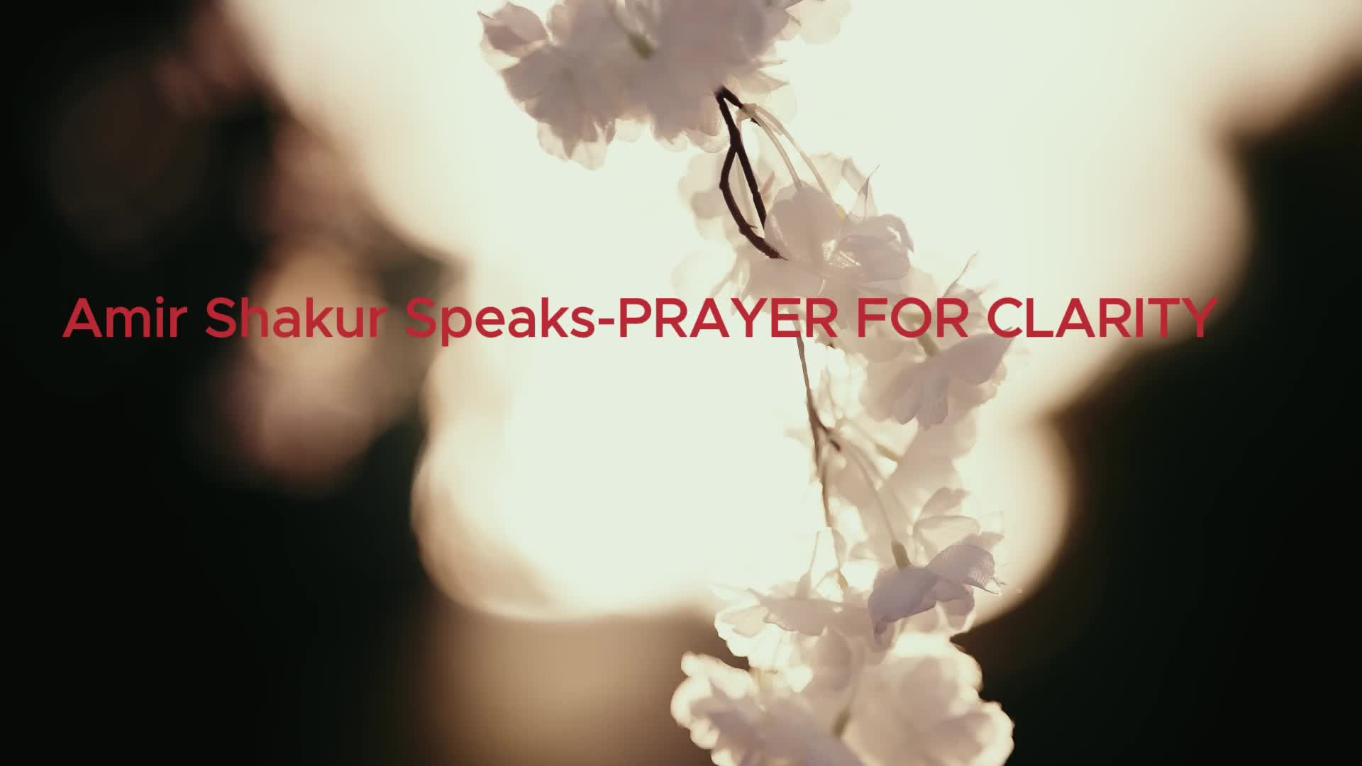 @Amir Shakur Speaks