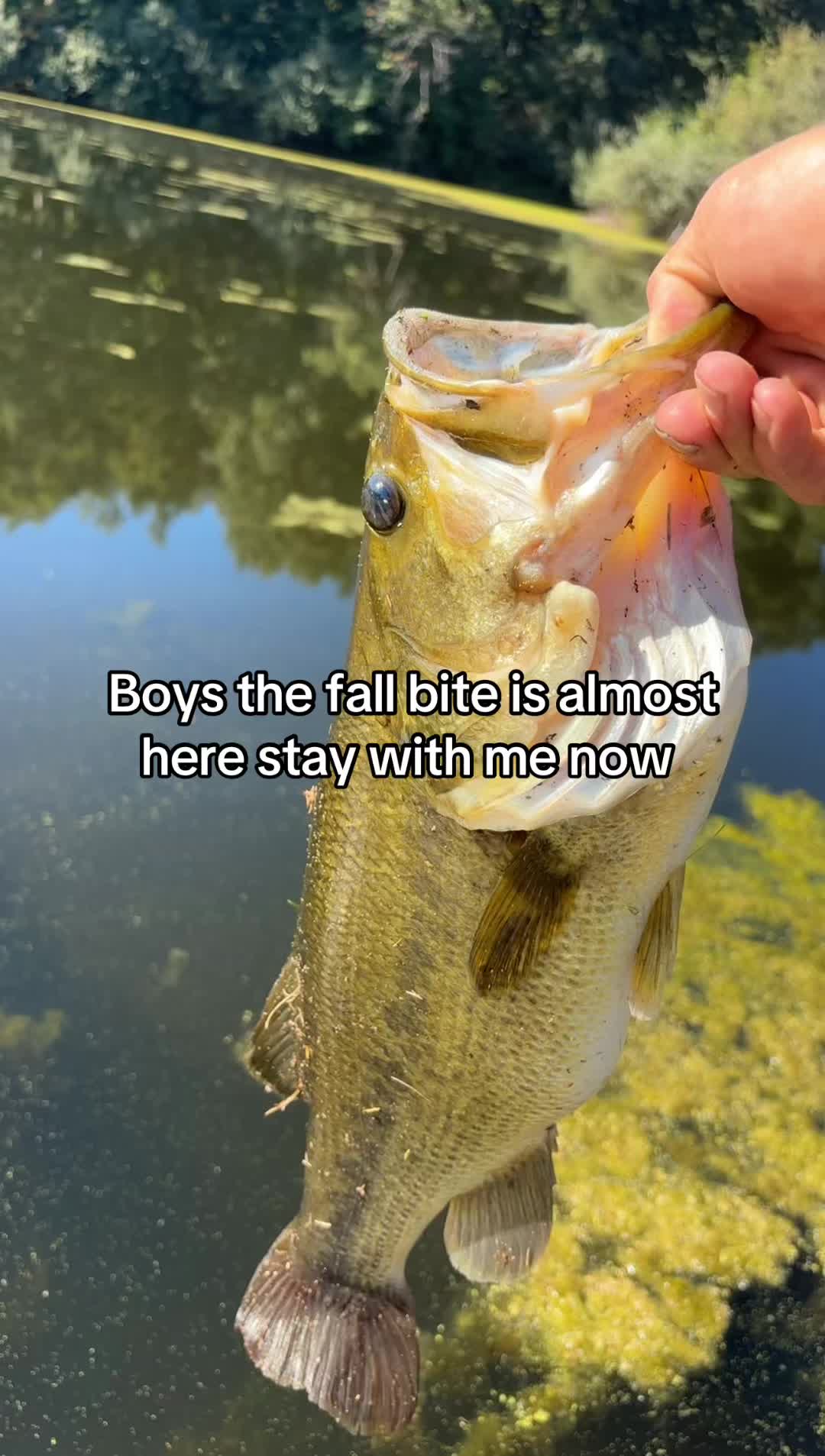 @Kristopher