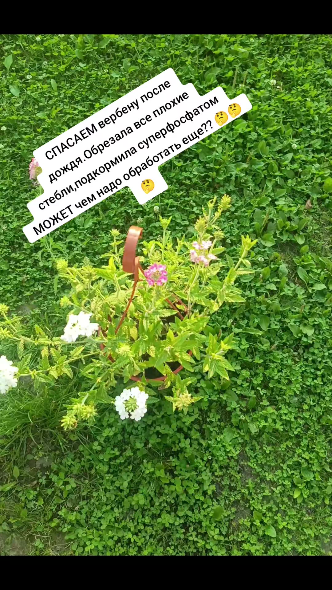 @Оленька