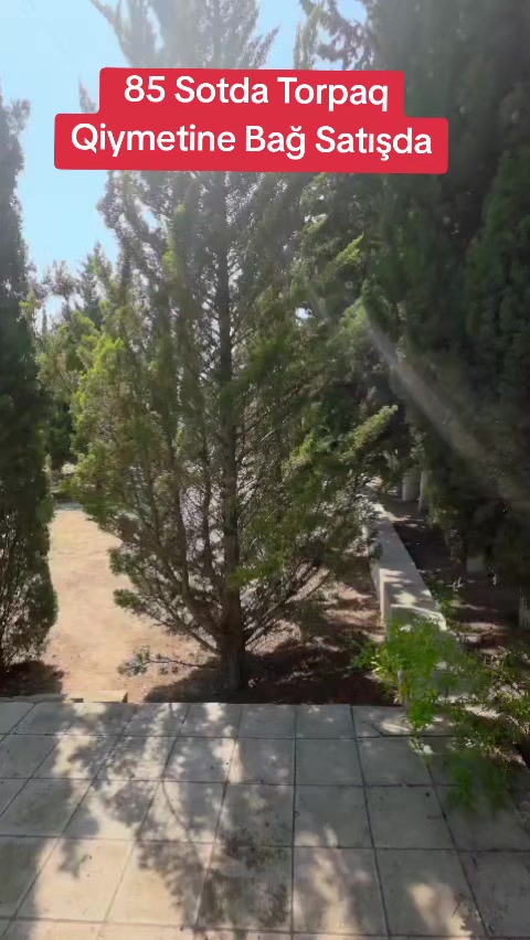 @Novxanı Emlak
