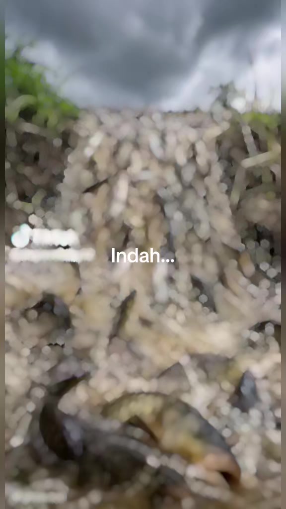 @indah