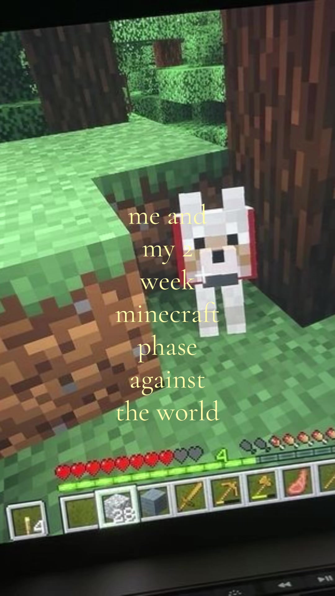 @𓇢𓆸