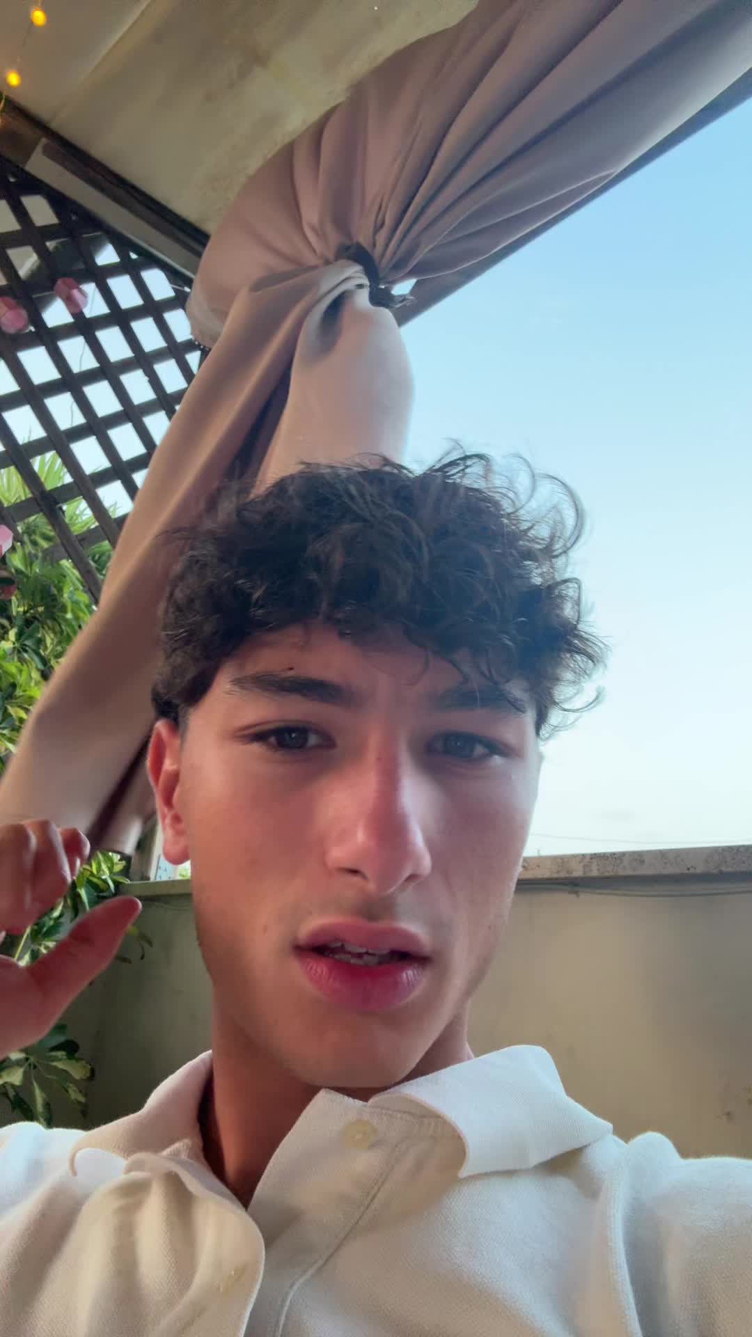 @ale