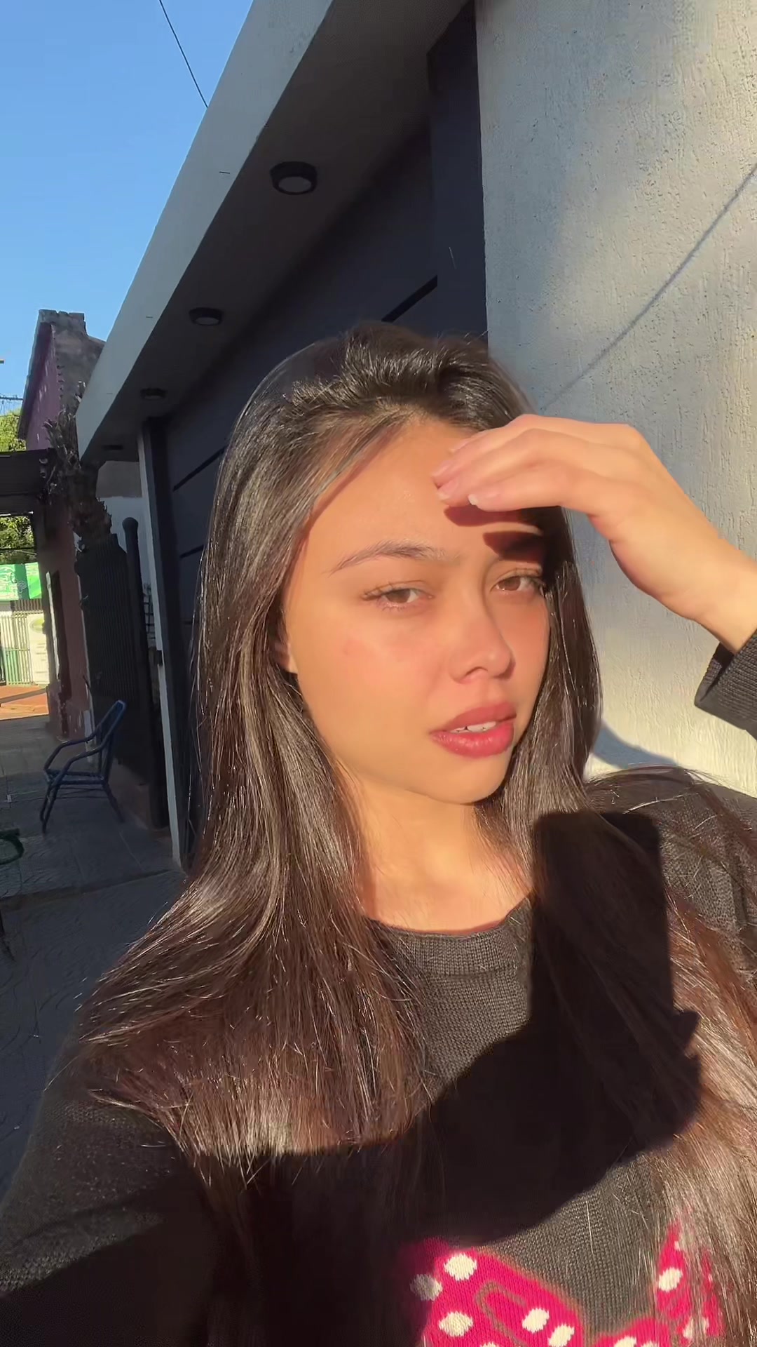 @maf.alecita