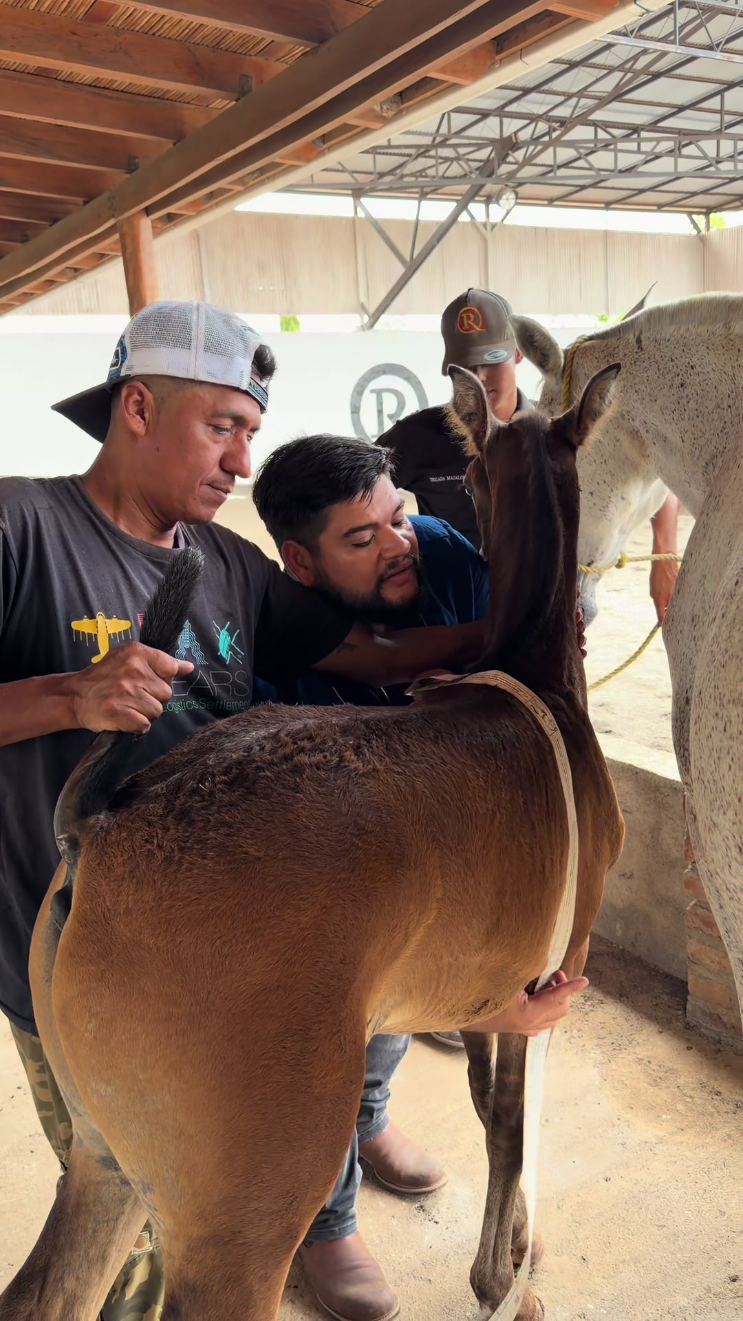 @equinovetnicaragua