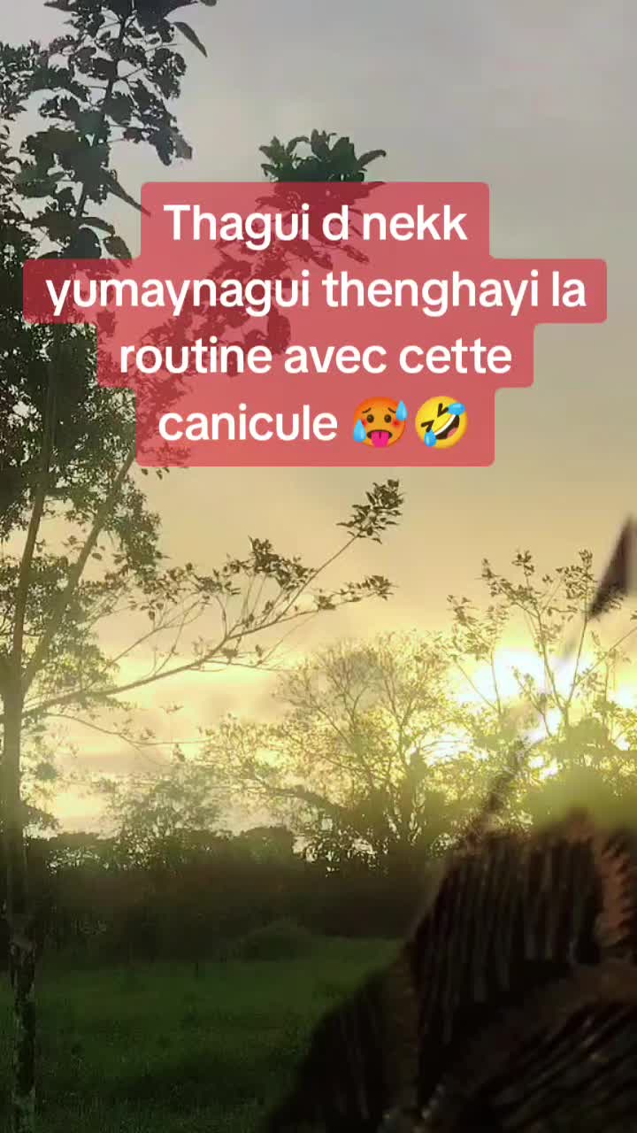 @kamelia