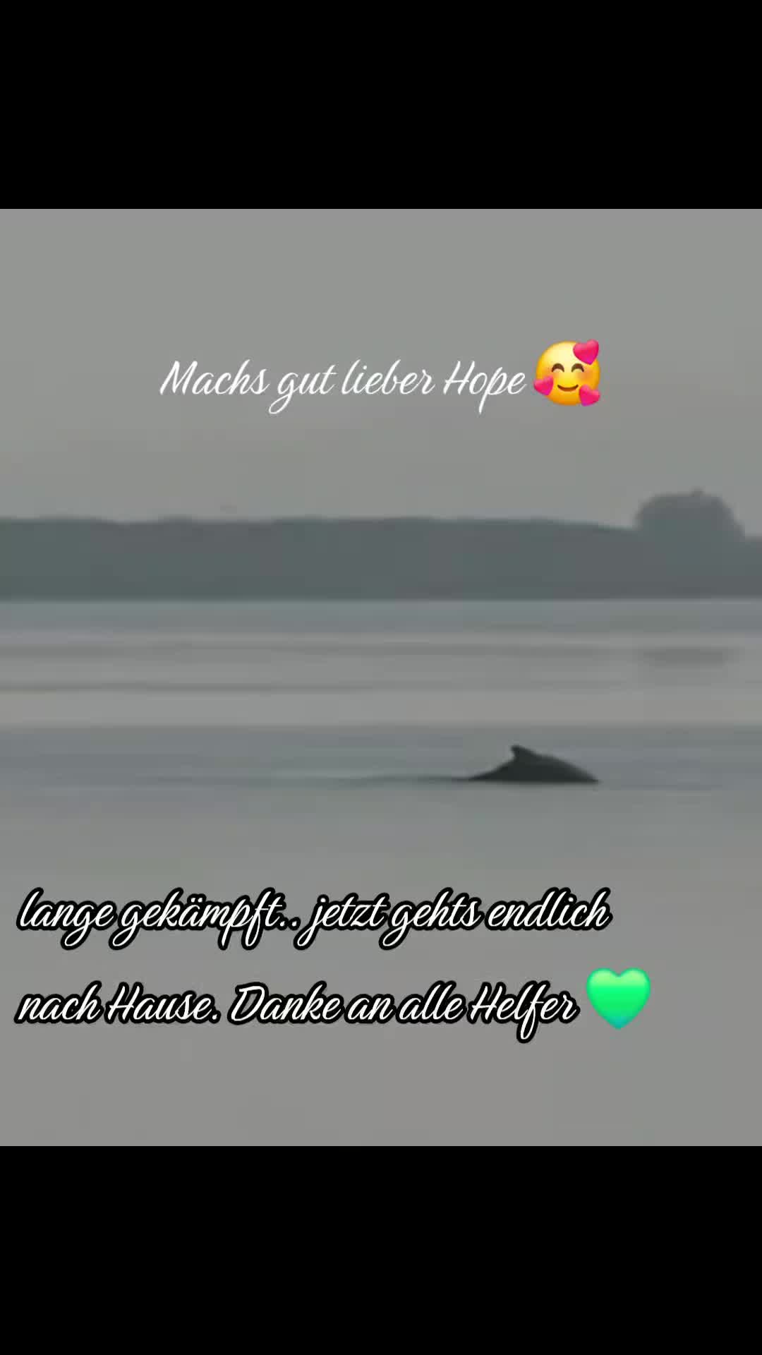 @melhon3y