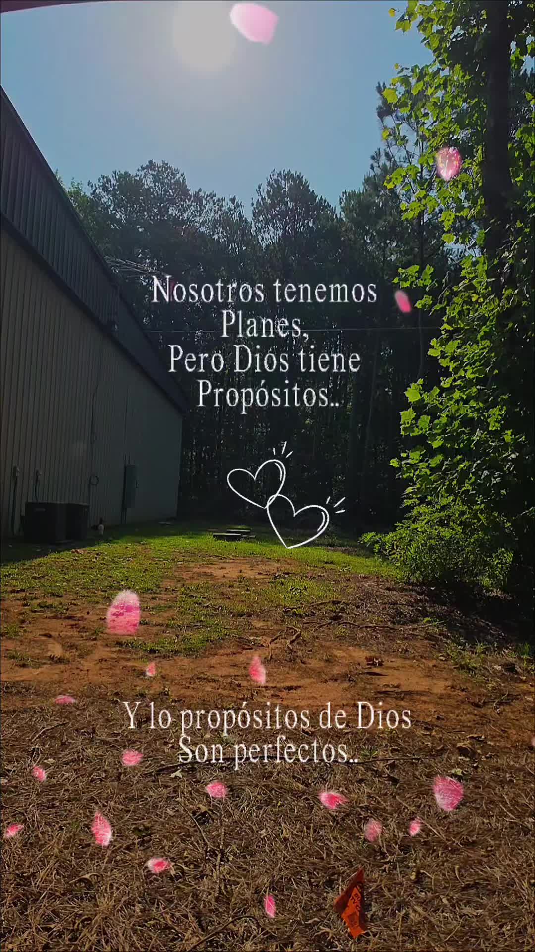@doly.dfn