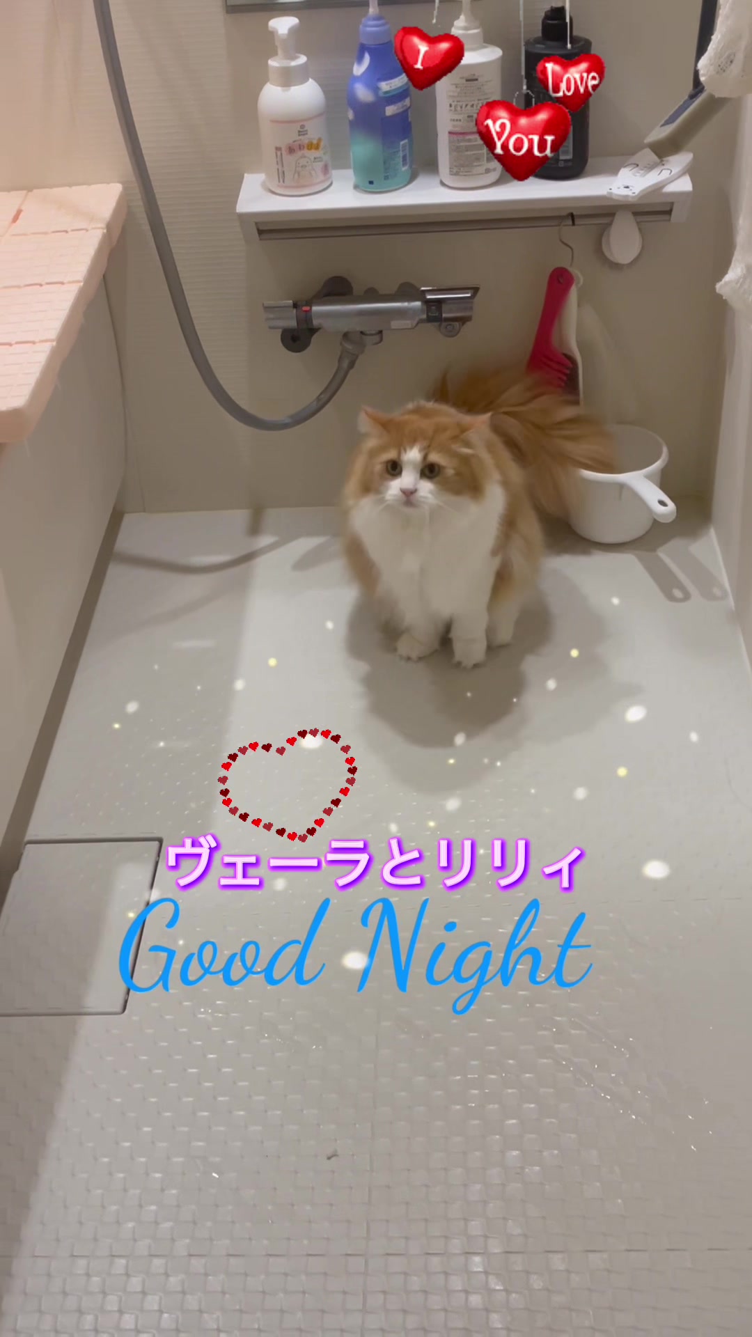 @Claudinei サントス