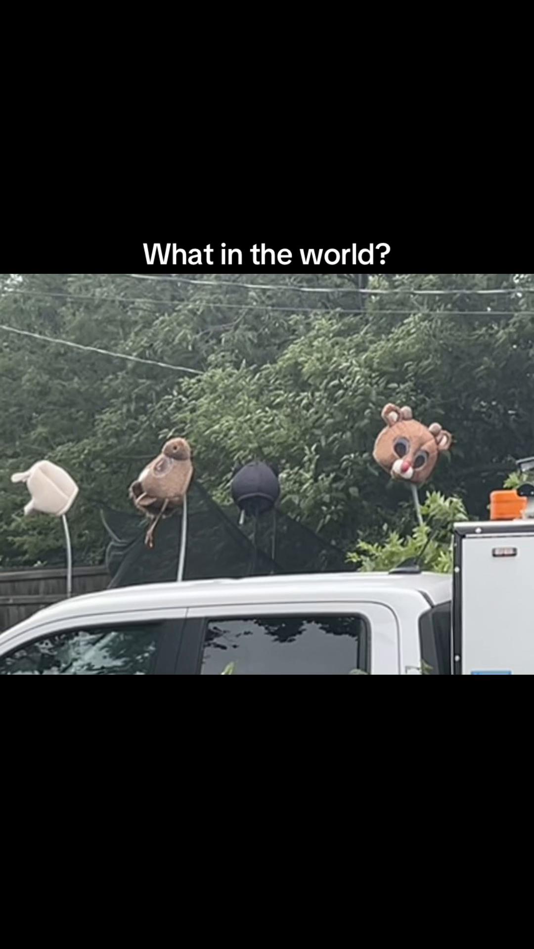@Momma Squirrel ❌