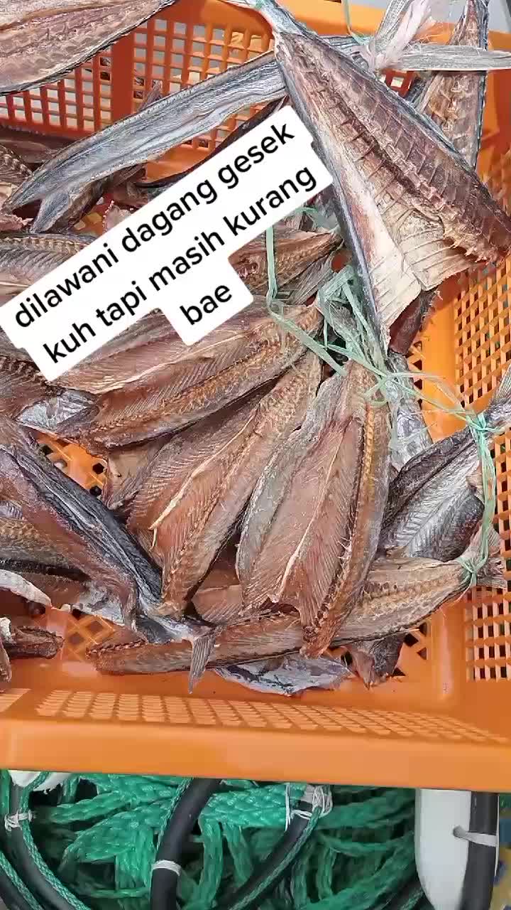 @🇮🇩mas"AMAN"plat G"🇯🇴🇮🇷