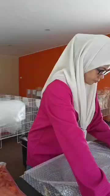 @Hamiza Sabari