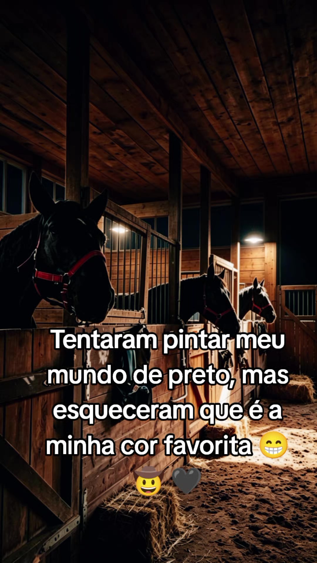 @Raiz da Roça Oficial