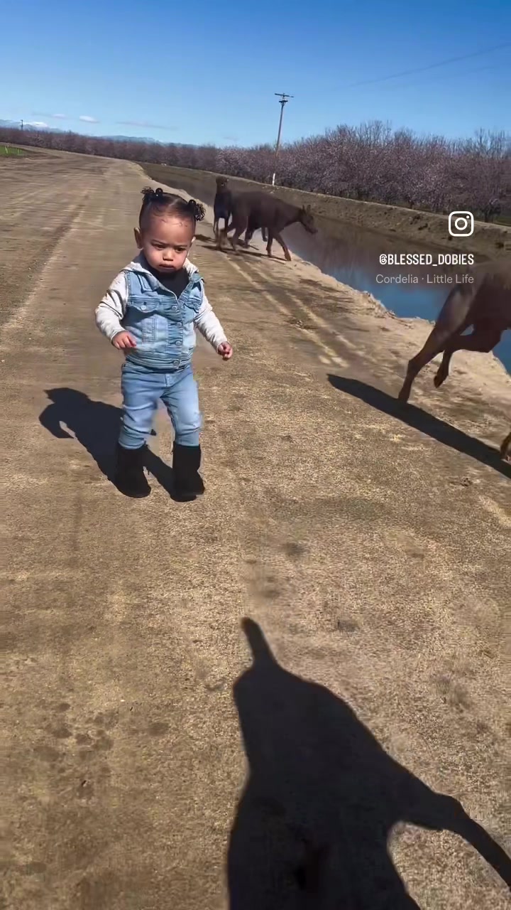 @blessed_dobies