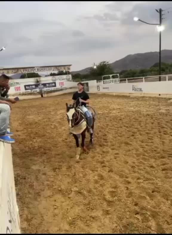 @JOSÉ DAVID