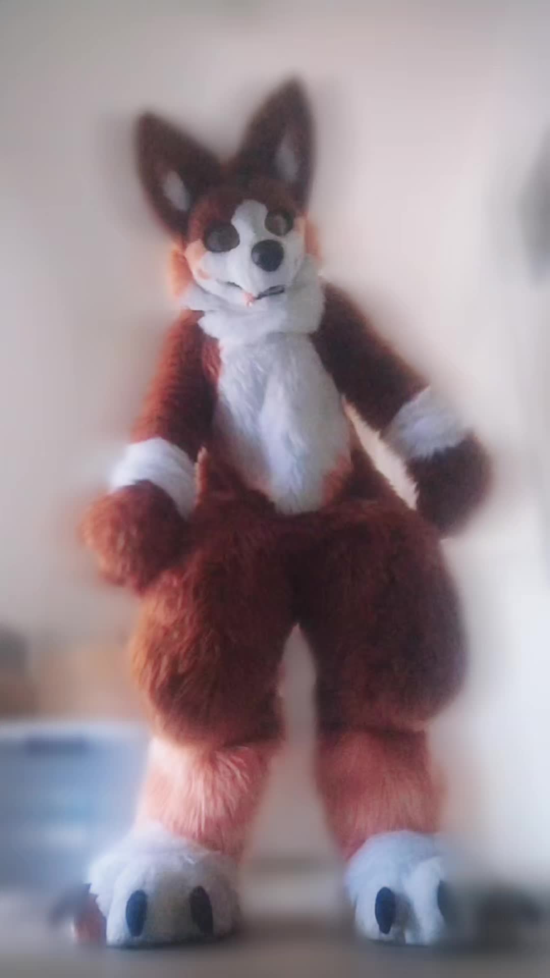 @🍑ℙ𝕖𝕒𝕔𝕙𝕠🍑