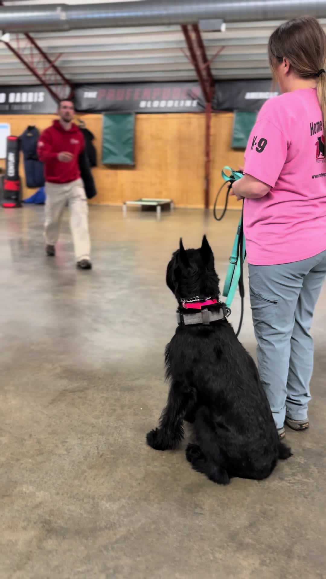 @Protection Dog Sales