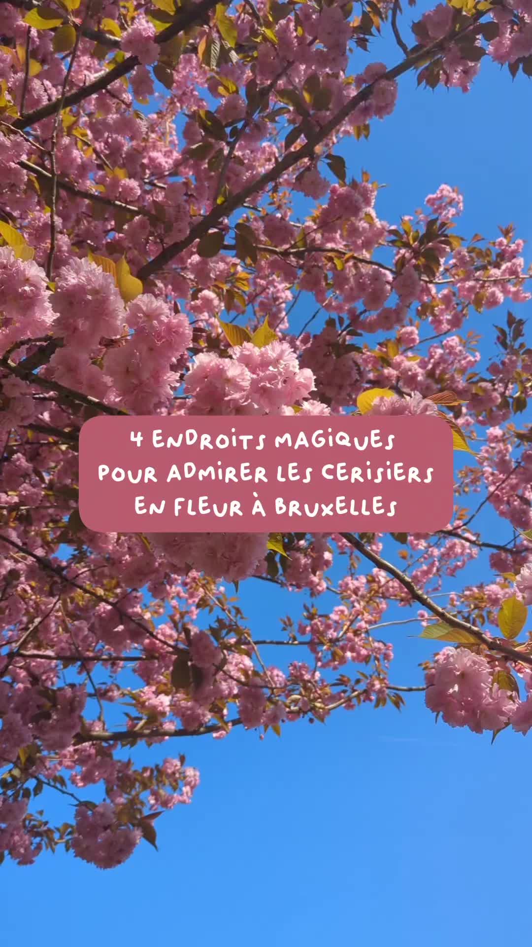 @Catherine 🍒
