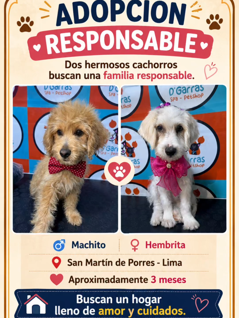@Perritos Voladores