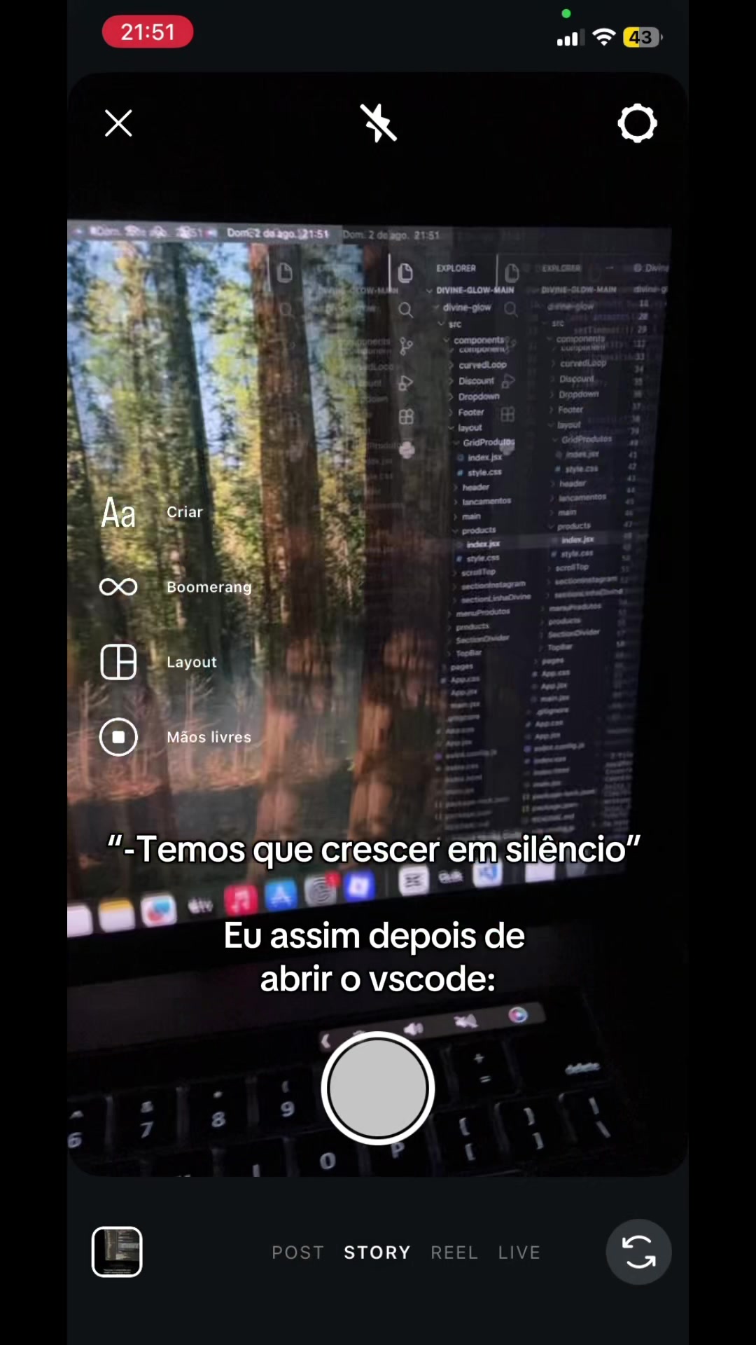 @Sophia Honorato | Dev