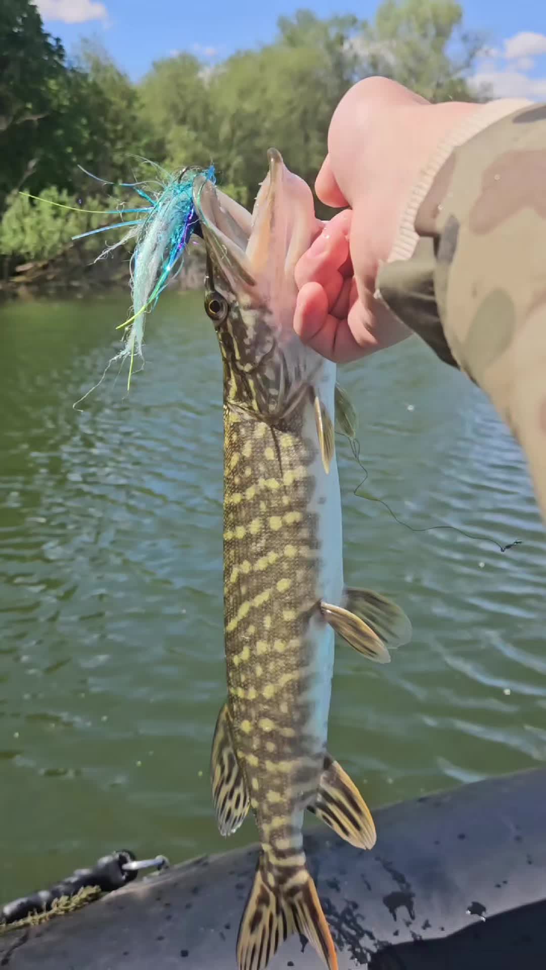 @mfly_lures