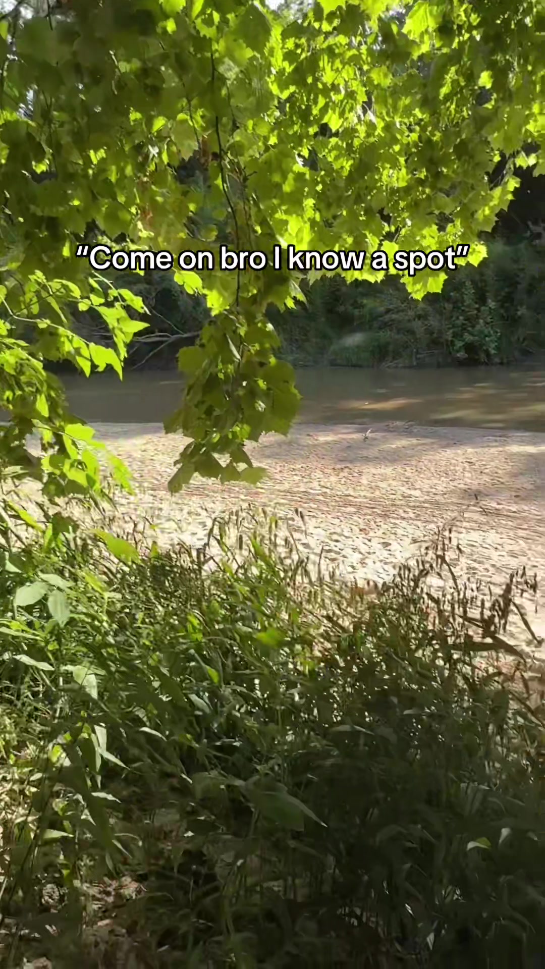 @TJ