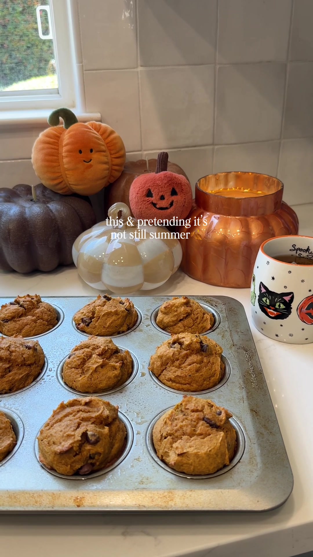 @Afty🍂🧸