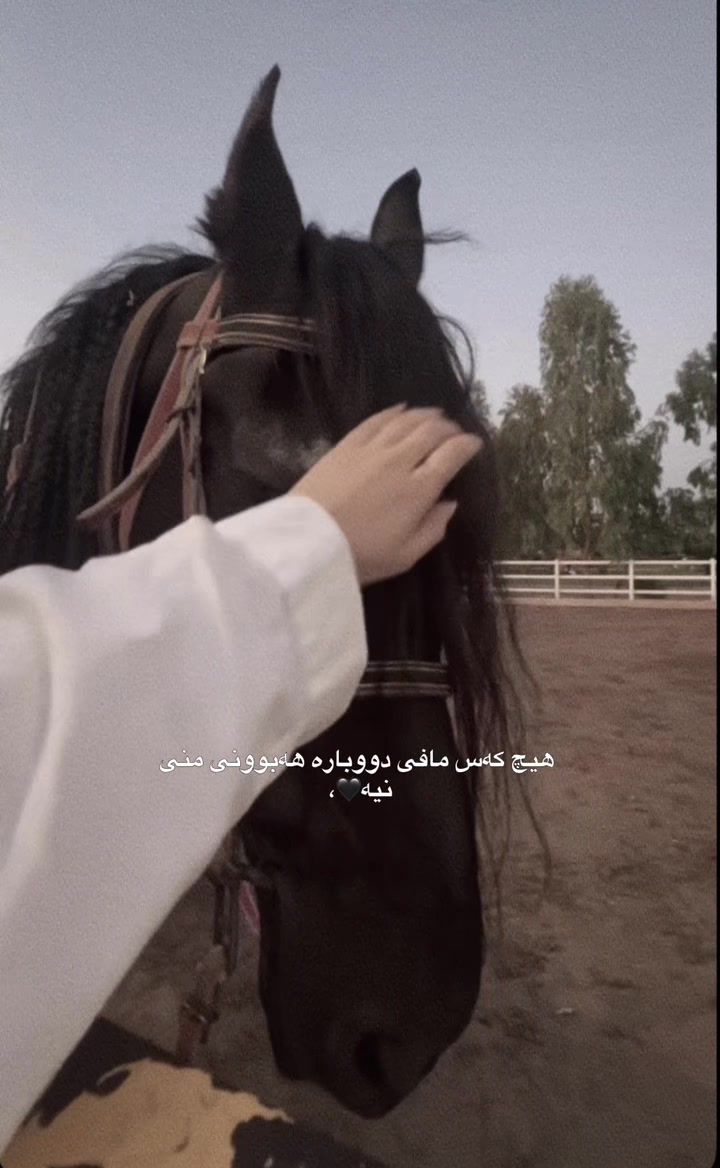 @Sahar