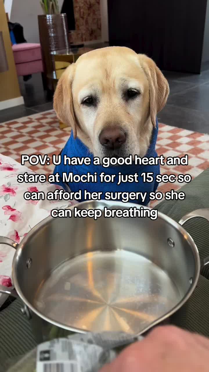 @janedoect01