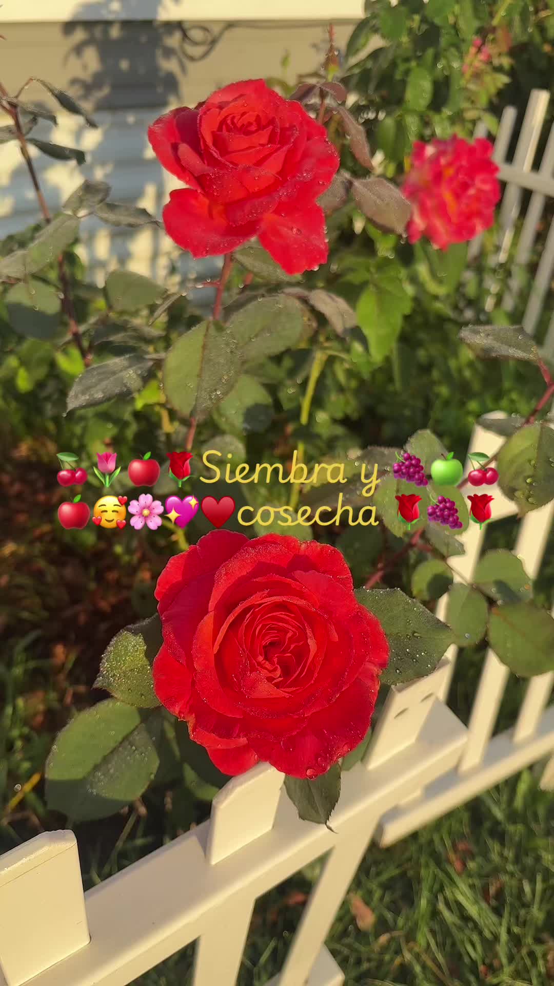 @🍂🍁🌻OTO&Ntilde;O 🌻🍂🍁