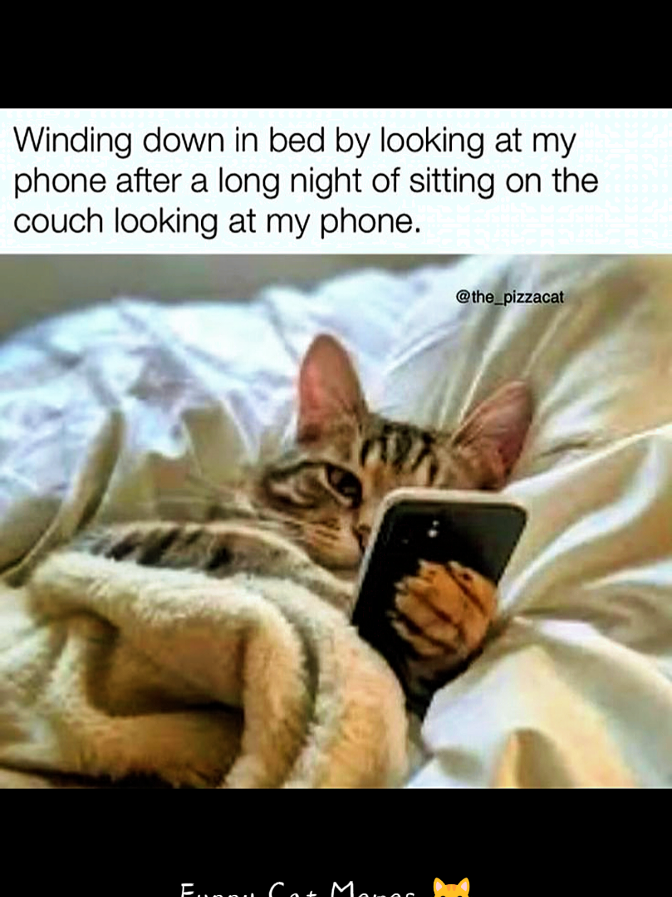 @MOTHEROFCATZ777