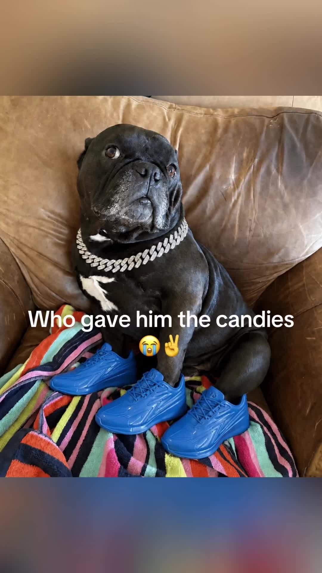 @Emma