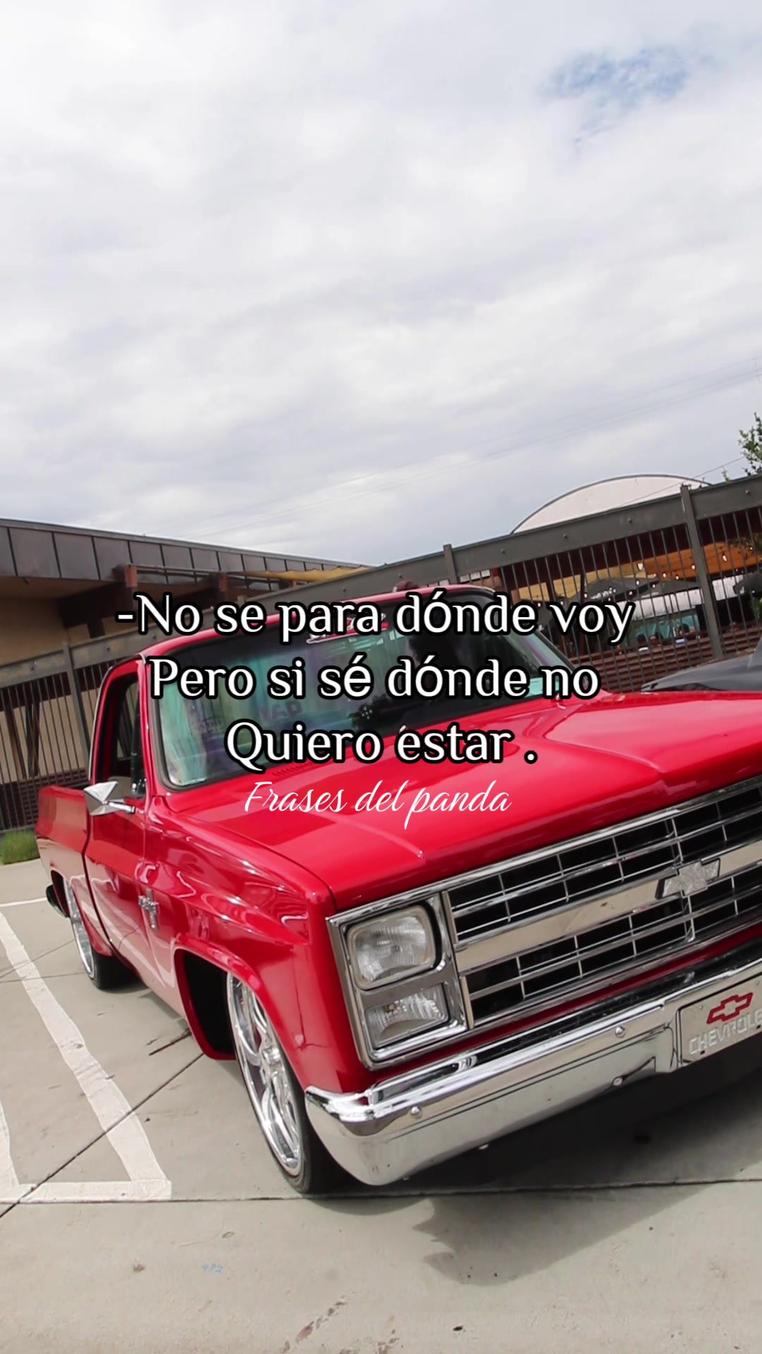 @frases del panda 🥷🏽