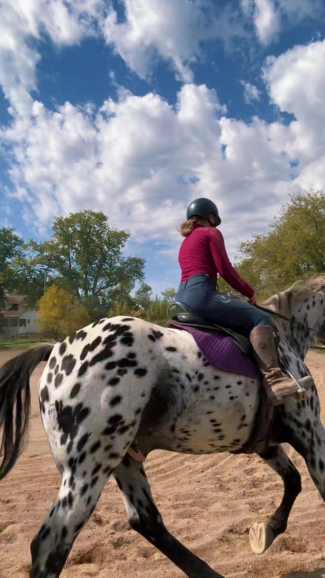 @Free Spirit Equestrian