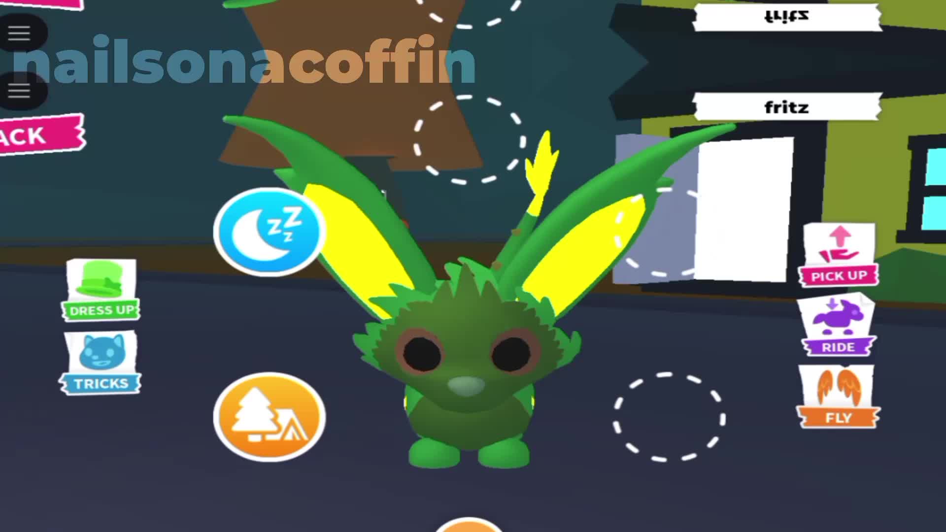 @water opossums #1 fan [AM]
